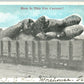 CARROTS EXAGGERATED 1919 ANTIQUE POSTCARD