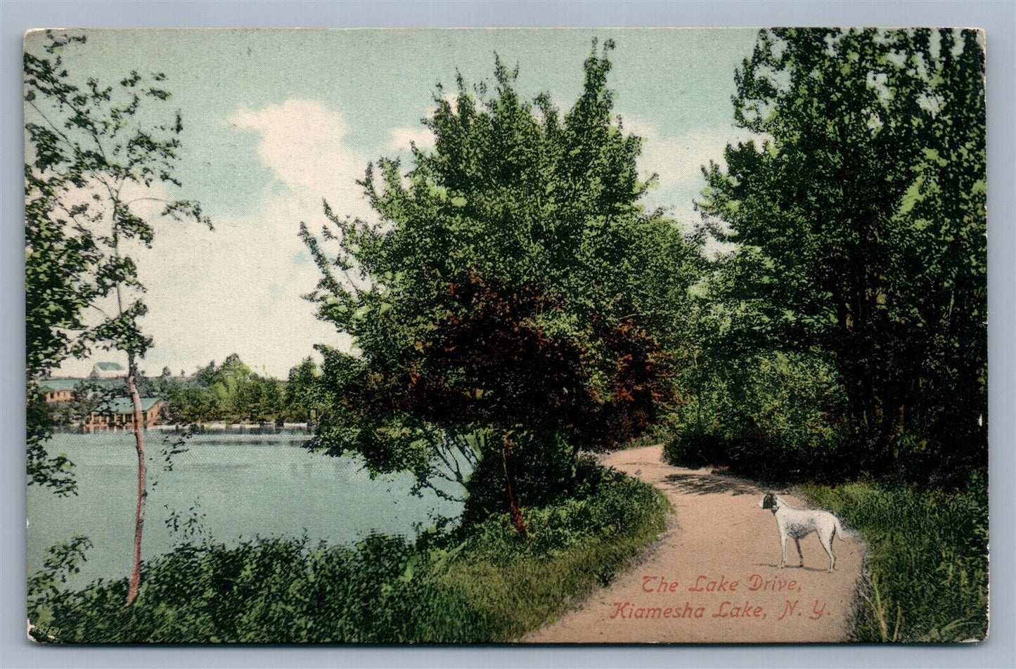 KIAMESHA LAKE NY LAKE DRIVE ANTIQUE POSTCARD