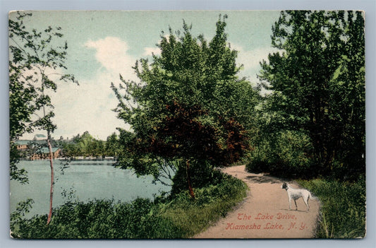 KIAMESHA LAKE NY LAKE DRIVE ANTIQUE POSTCARD