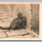 HUNTING CAT PHOTOGRAPHER SIGNED VINTAGE AUSTRIAN REAL PHOTO POSTCARD RPPC