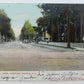 VINTAGE UNDIVIDED POSTCARD - UNION AVE. DRIVE SARATOGA SPRINGS NY