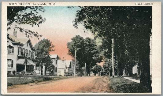 ANNANDALE NJ WEST STREET ANTIQUE POSTCARD