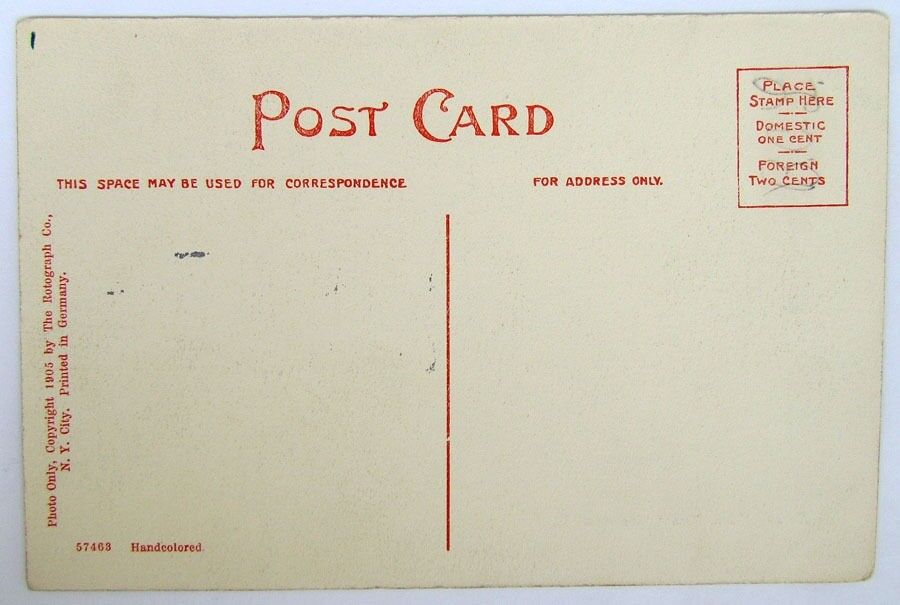 ANTIQUE UNUSED POSTCARD - SOUTH MAIN STREET GENEVA N.Y.