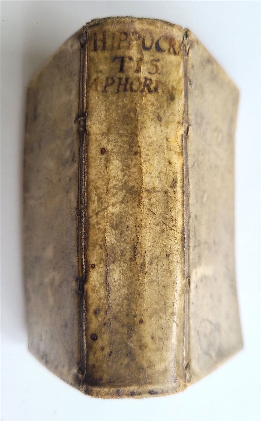 1675 HIPPOCRATES APHORISMS antique VELLUM BOUND