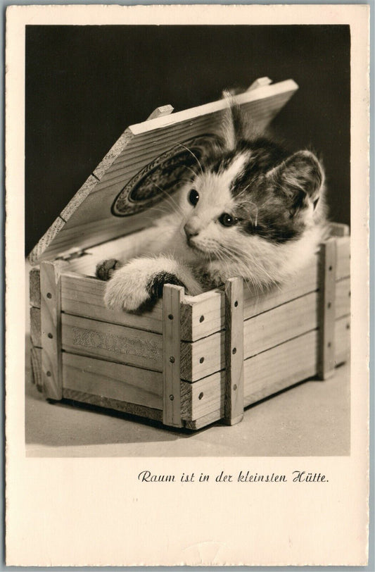 CRATED CAT VINTAGE REAL PHOTO POSTCARD RPPC