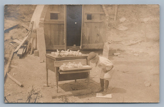 BOY w/ CHICKS PEEPS FARMING ANTIQUE REAL PHOTO POSTCARD RPPC