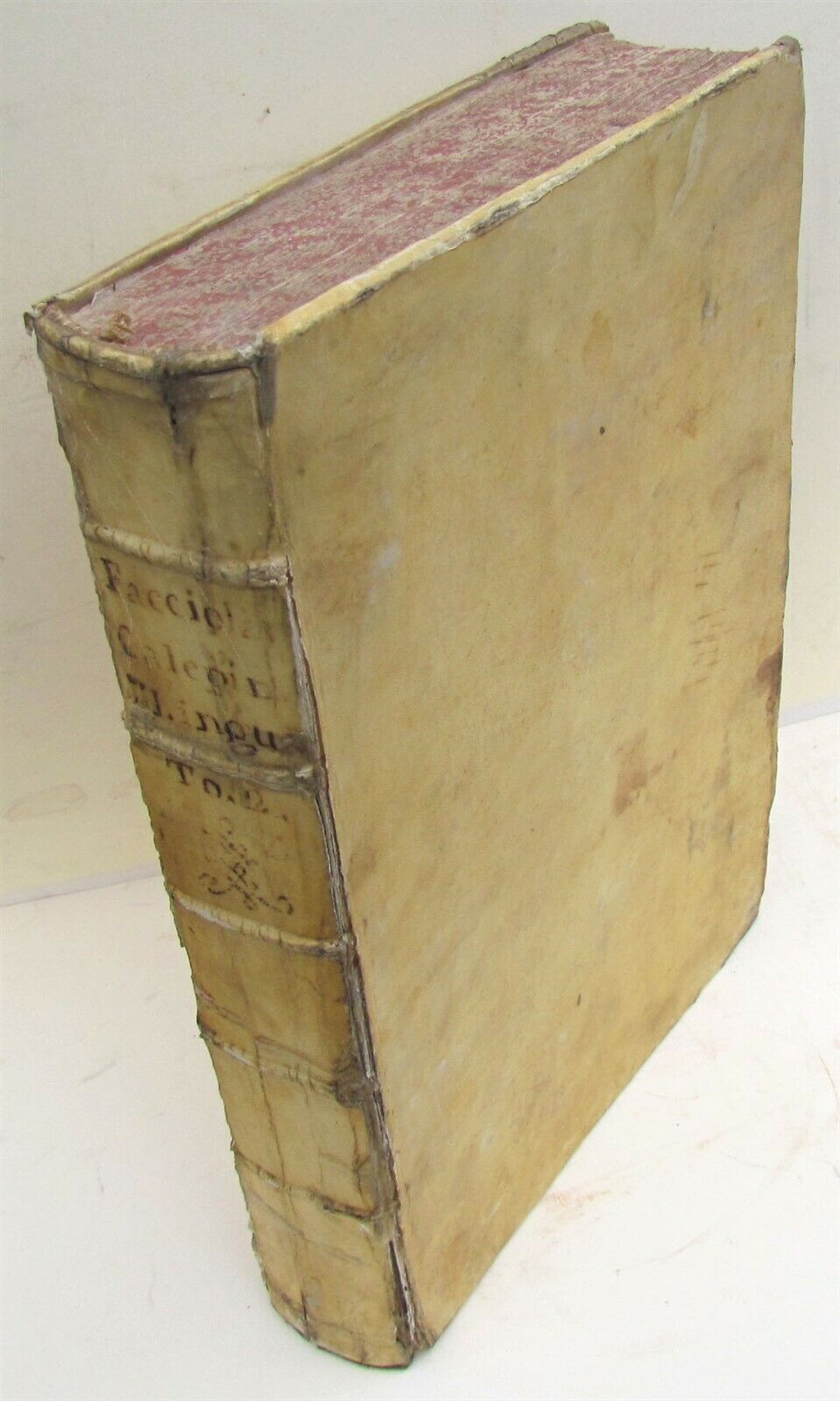 1741 2 vol VELLUM BOUND FOLIO LEXICON LATINUM SEPTEM LINGUARUM CALEPINUS antique