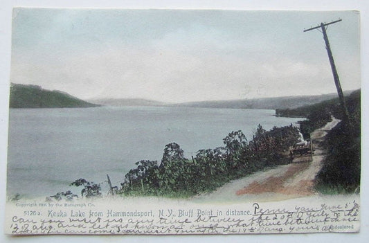 ANTIQUE 1905 UNDIVIDED POSTCARD KEUKA LAKE FROM HAMMONDSPORT N.Y.