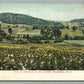 STAMFORD CATSKILL MOUNTAINS NY ANTIQUE POSTCARD