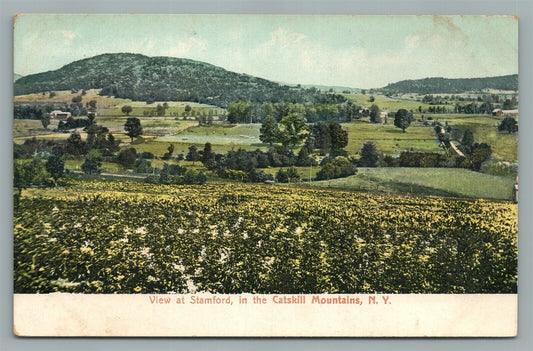 STAMFORD CATSKILL MOUNTAINS NY ANTIQUE POSTCARD