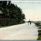 MIAMI FL FRONT OF HOTEL ROYAL PALM ANTIQUE POSTCARD