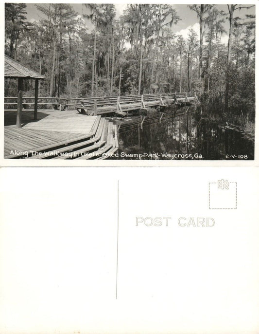 WAYCROSS GA OKEFENOKEE SWAMP PARK VINTAGE REAL PHOTO POSTCARD RPPC