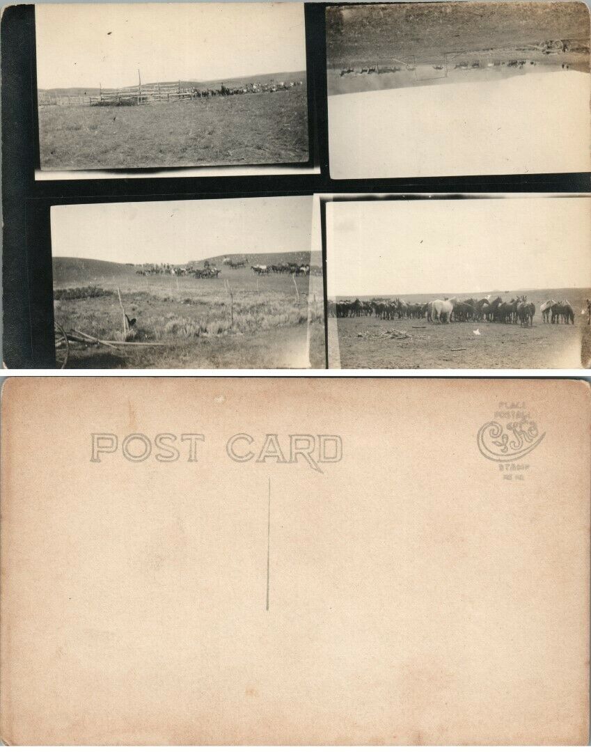 4 parts ANTIQUE RPPC REAL PHOTO POSTCARD w/ HORSES