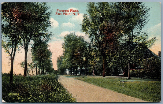 FORT PLAIN NY PROSPECT PLACE ANTIQUE POSTCARD