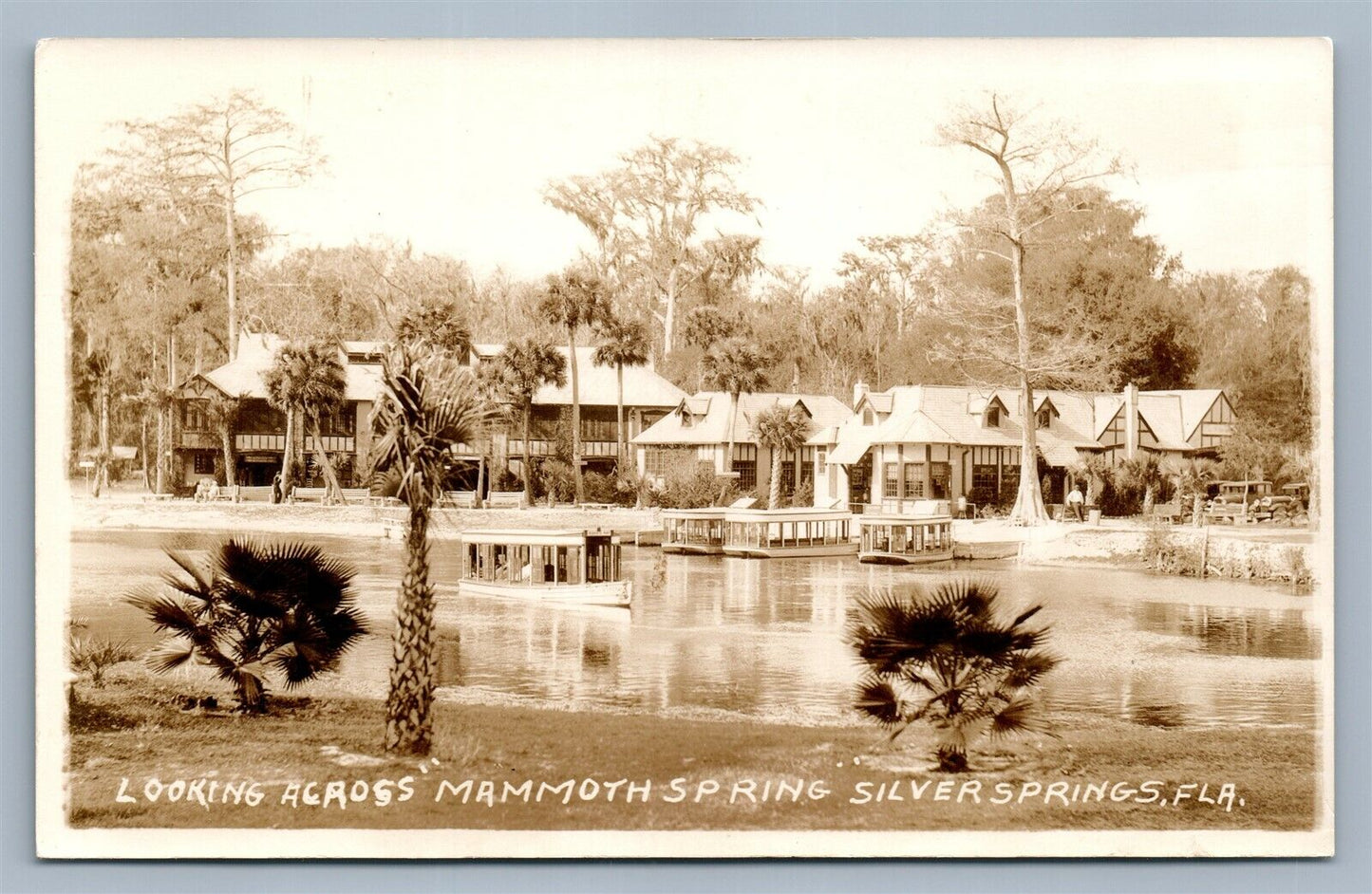 SILVER SPRINGS FL MAMMOTH SPRING VINTAGE REAL PHOTO POSTCARD RPPC