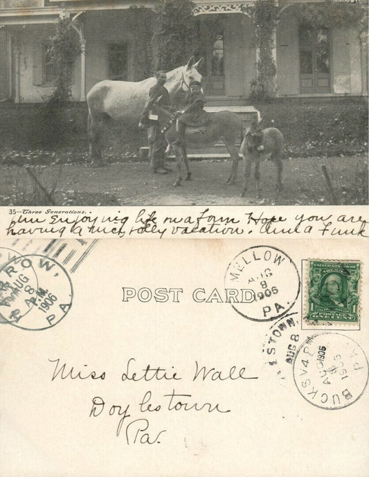 HORSES THREE GENERATIONS  1906 UNDIVIDED ANTIQUE POSTCARD