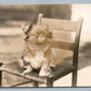 PEKINGESE DOG ANTIQUE REAL PHOTO POSTCARD RPPC