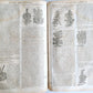 1680 MEDICAL PLANTS ILLUSTRATED w/ 1478 woodcuts antique by Mattioli FOLIO rare