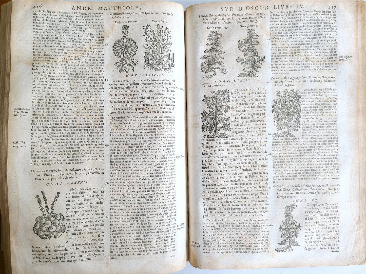 1680 MEDICAL PLANTS ILLUSTRATED w/ 1478 woodcuts antique by Mattioli FOLIO rare