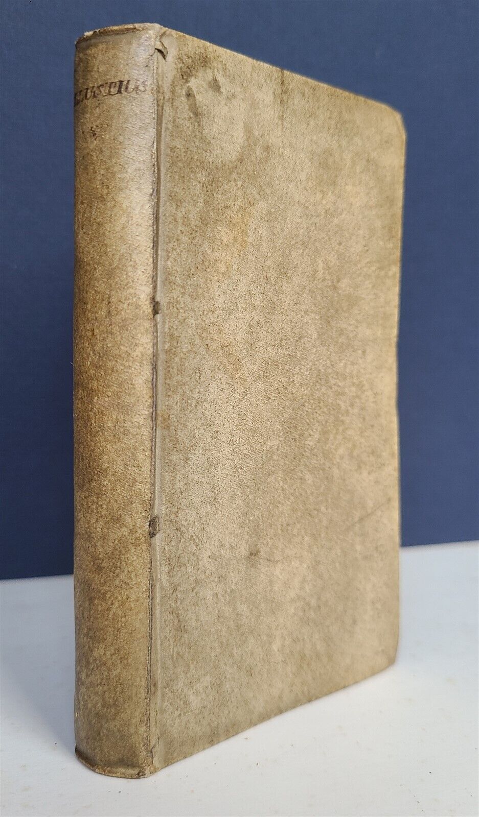 1747 SALLUST WORKS antique VELLUM BOUND