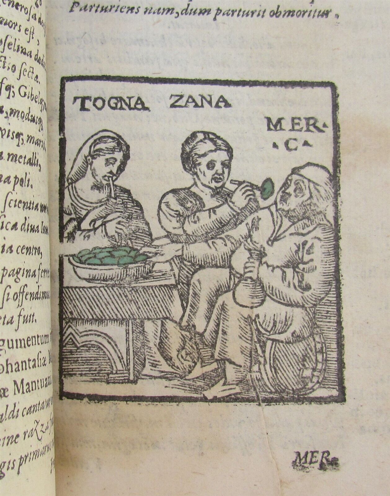 1585 ILLUSTRATED MACARONIC POETRY MERLINI COCAII antique 16th CENTURY