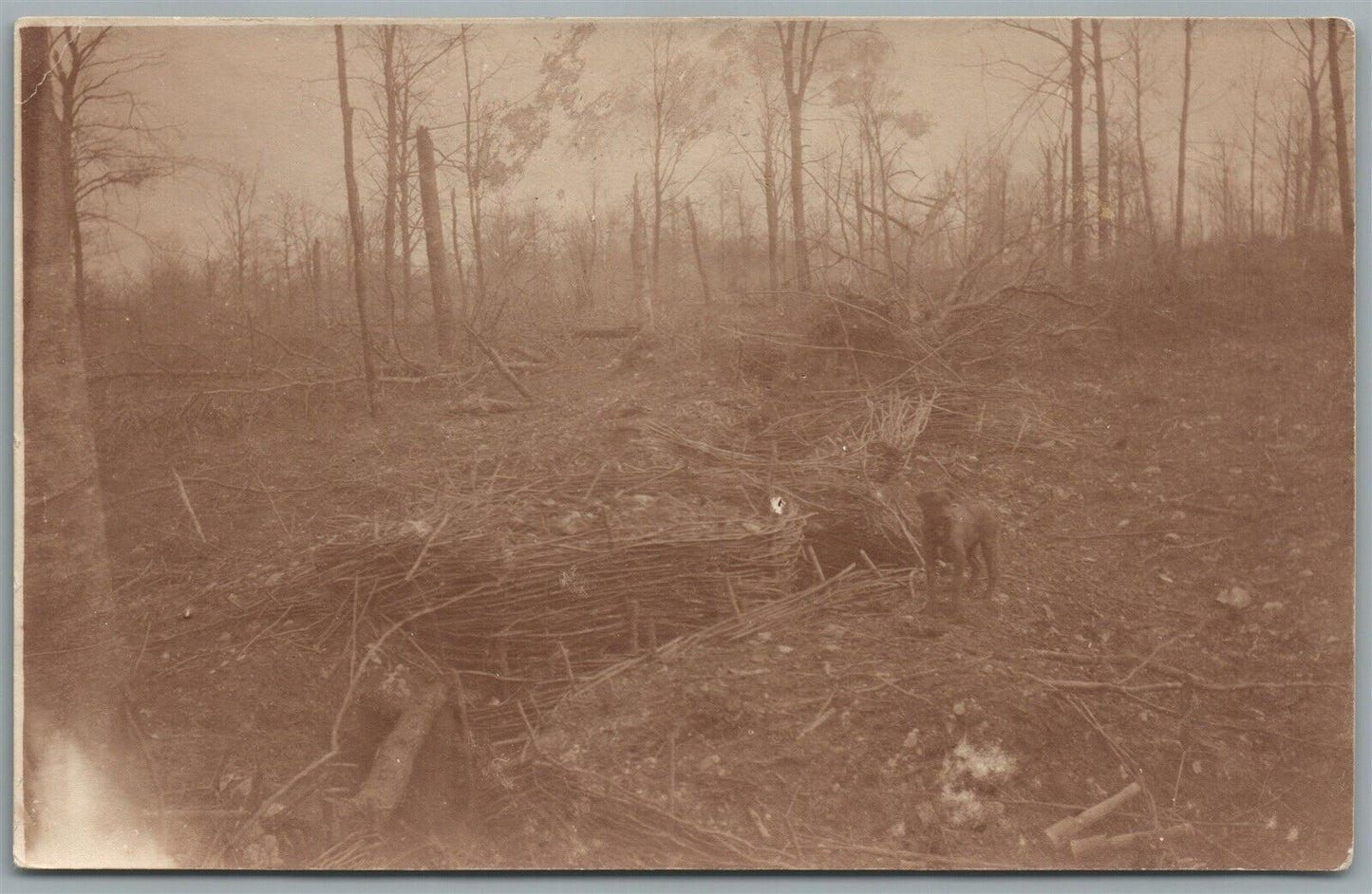 GERMAN 1916 WWI ANTIQUE REAL PHOTO POSTCARD RPPC w/ DOG