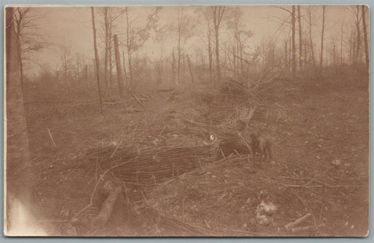 GERMAN 1916 WWI ANTIQUE REAL PHOTO POSTCARD RPPC w/ DOG