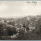 MILESES NY PANORAMA ANTIQUE POSTCARD