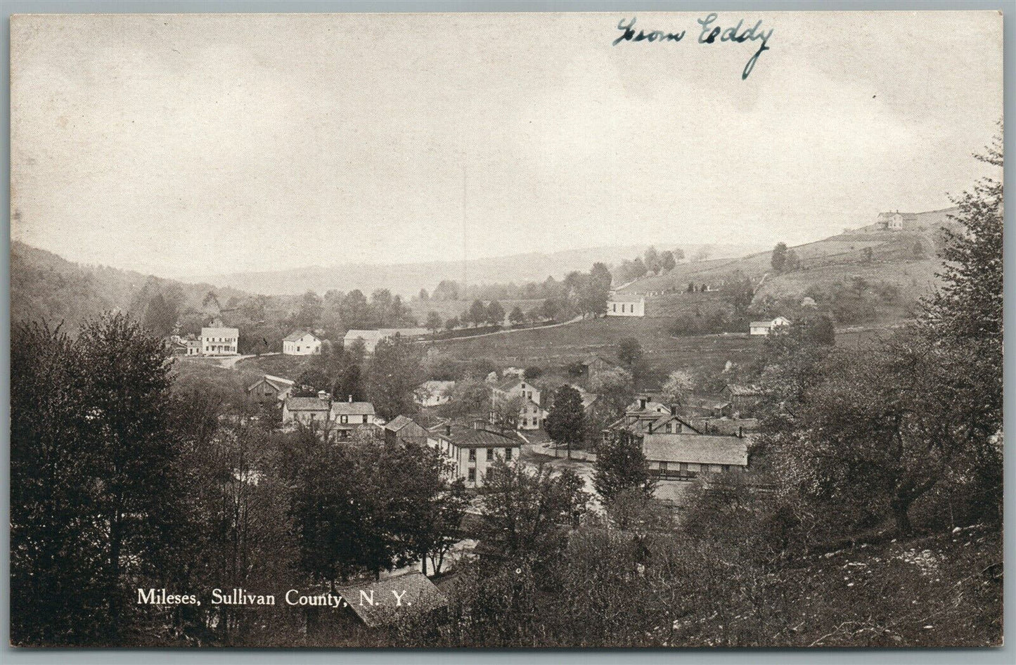 MILESES NY PANORAMA ANTIQUE POSTCARD