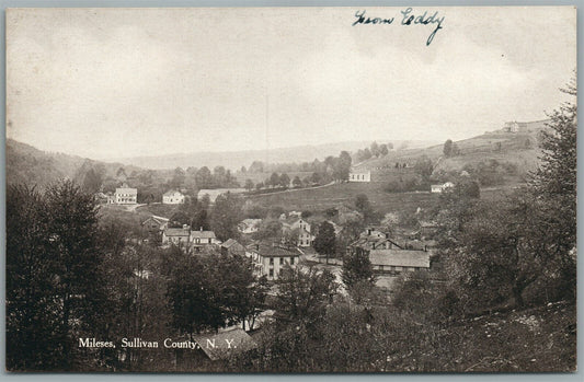 MILESES NY PANORAMA ANTIQUE POSTCARD