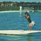 FLORIDA OCEANARIUM TRAINED DOG RIDES SURFBOARD 1963 VINTAGE POSTCARD