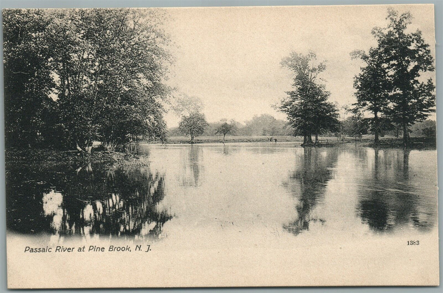 PINE BROOK NJ PASSAIC RIVER ANTIQUE POSTCARD