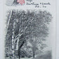 ANTIQUE UNDIVIDED POSTCARD ROAD AT BROOKSIDE GREAT BARRINGTON MASS