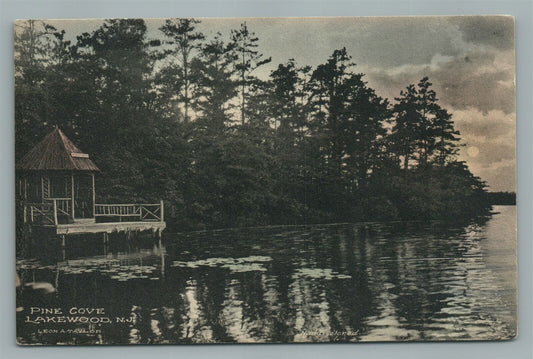 LAKEWOOD NJ PINE COVE ANTIQUE POSTCARD