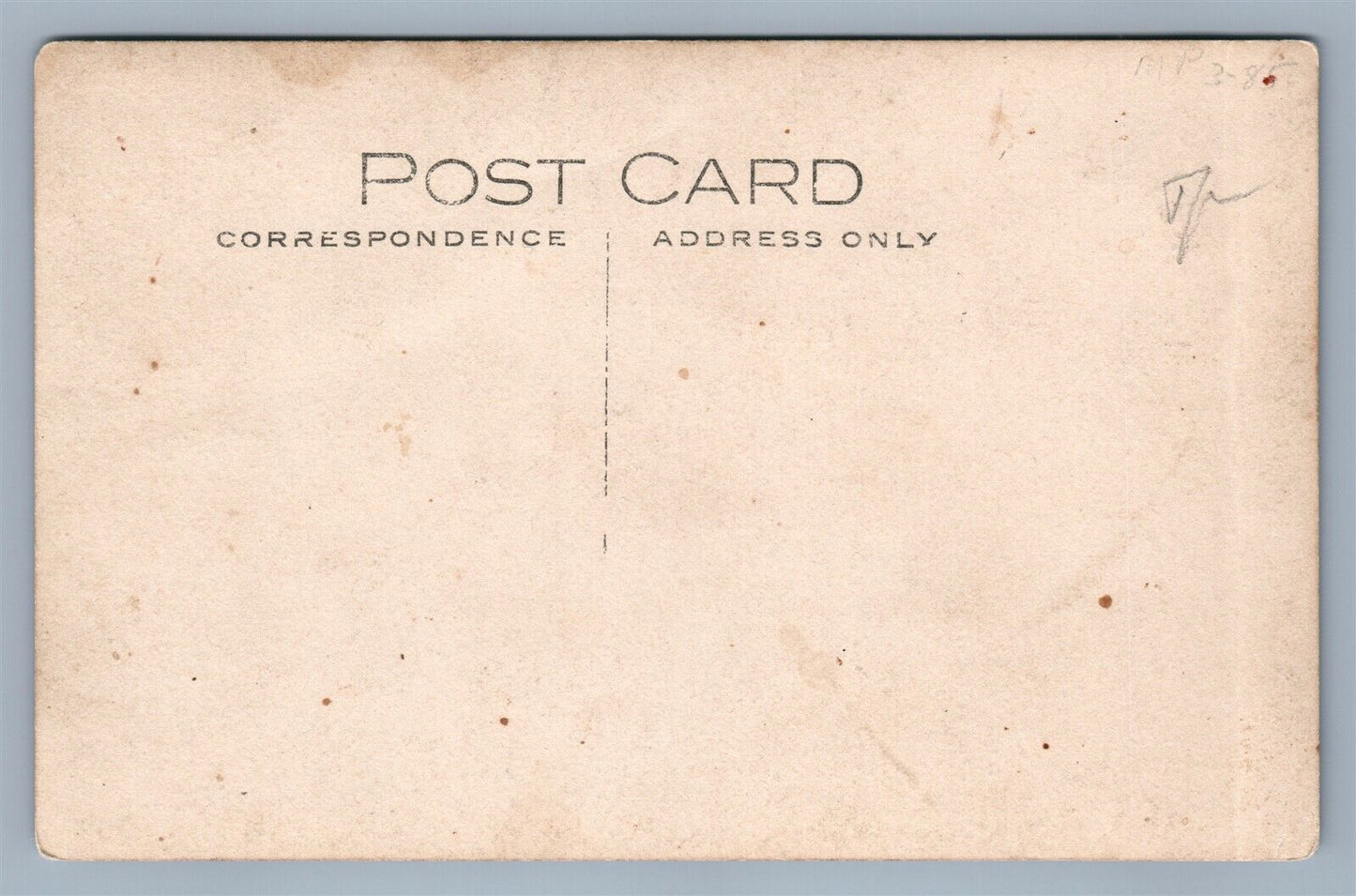 CHICKENS & DUCKS FEEDING FARMING ANTIQUE REAL PHOTO POSTCARD RPPC