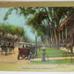 1907 VINTAGE POSTCARD BROADWAY SARATOGA SPRINGS NY