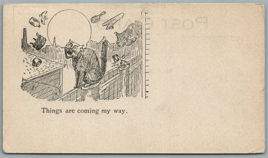 CAT COMIC ANTIQUE POSTCARD THINGS ARE COMING MY WAY