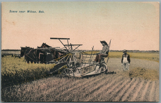 SCENE NEAR WILCOX NE ANTIQUE POSTCARD