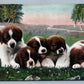 CUTE PUPPIES ANTIQUE POSTCARD