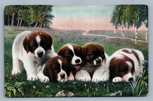 CUTE PUPPIES ANTIQUE POSTCARD