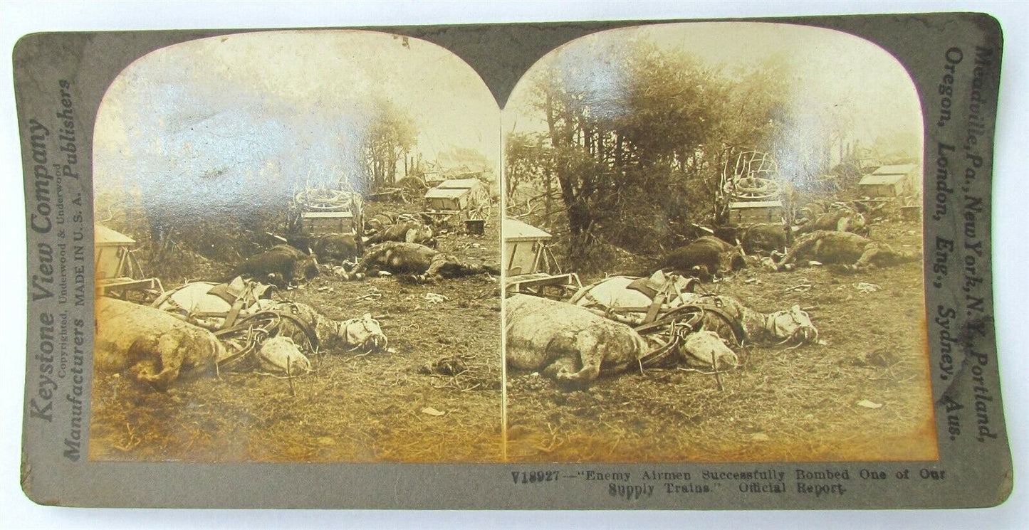 BOMBED SUPPLY TRAIN DEAD HORSES WWI STEREOVIEW PHOTO