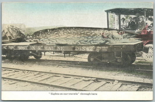 FISH ON RAILROAD CAR 1919 ANTIQUE EXAGGERATED POSTCARD