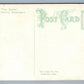 FLEMINGTON NJ MAIN STREET ANTIQUE POSTCARD