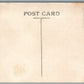 WEBSTER NY EAST MAIN STREET ANTIQUE POSTCARD
