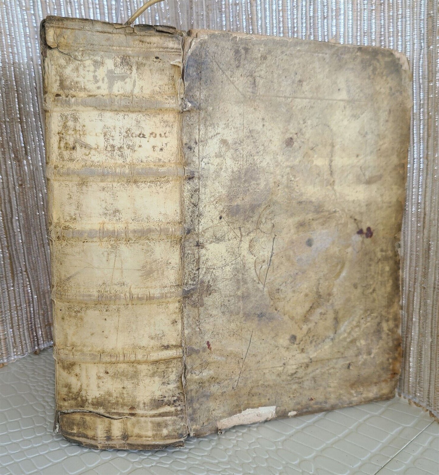 1623 GREEK DICTIONARY antique 17th century Lexicon Graecolatinum VELLUM BINDING