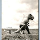 RAPID CITY SD DINOSAUR PARK TYRANNOSAURUS REX VINTAGE REAL PHOTO POSTCARD RPPC