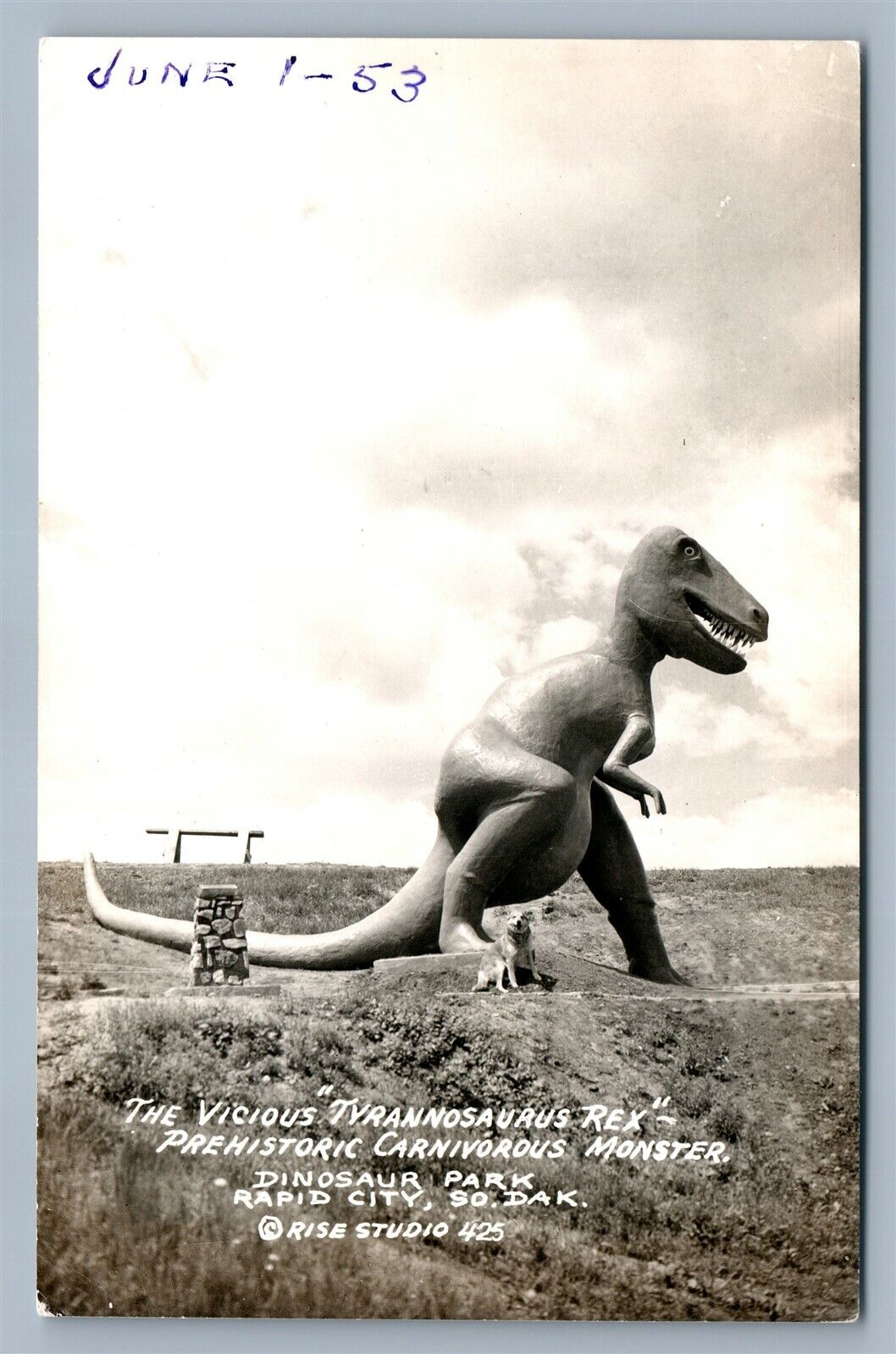 RAPID CITY SD DINOSAUR PARK TYRANNOSAURUS REX VINTAGE REAL PHOTO POSTCARD RPPC