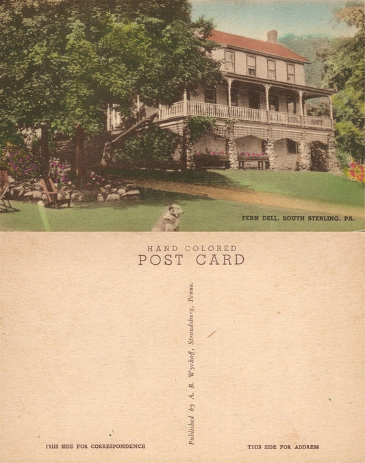 SOUTH STERLING PA FERN DELL HAND COLORED ANTIQUE POSTCARD