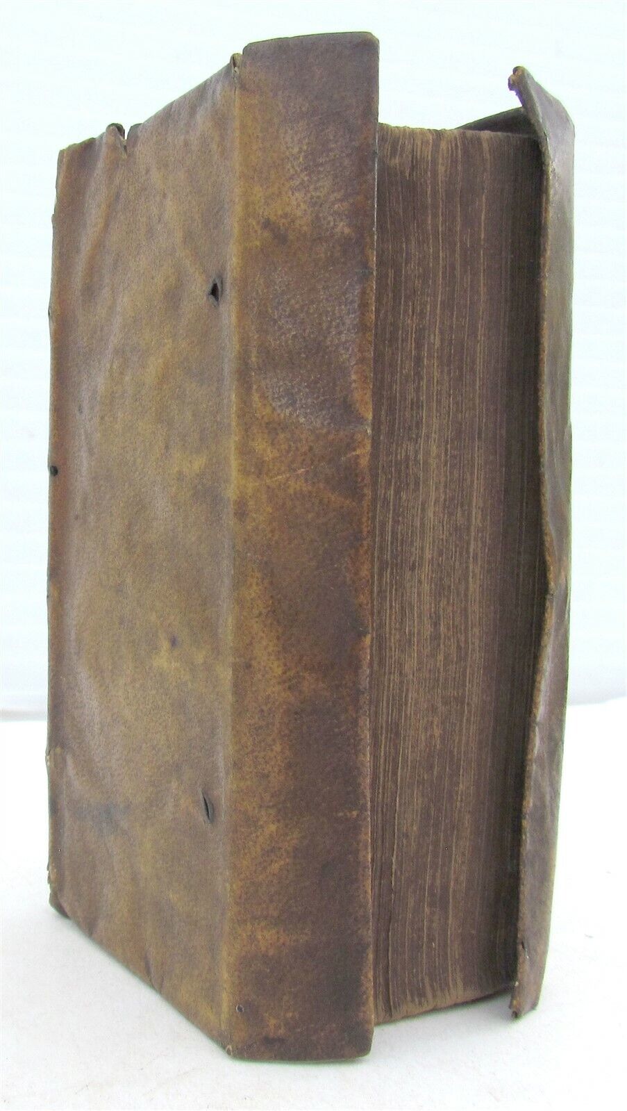 1566 PINDARI OLYMPIA vellum bound ANTIQUE Pindarus GREEK & LATIN Poetry