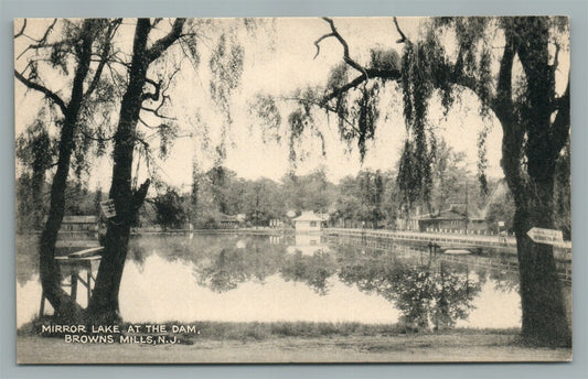 BROWNS MILLS NJ MIRROR LAKE AT THE DAM ANTIQUE POSTCARD